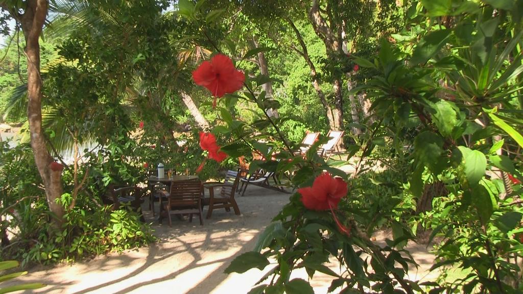 Pousada Tassimirim Velha Boipeba Dış mekan fotoğraf